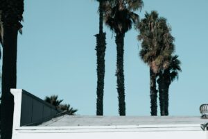 UCB to Acquire San Diego-Based Candid Therapeutics for Up to $2.2 Billion